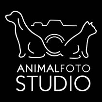 http://animalfotostudio.pl/